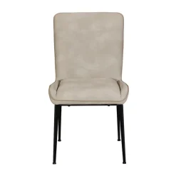 Dylan Dining Chair Misty