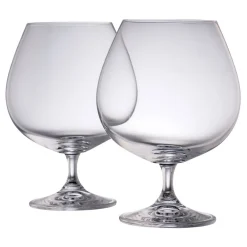 Elegance Brandy Balloon Set of Two Glasses