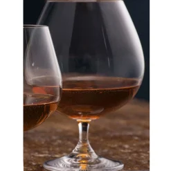 Elegance Brandy Balloon Set of Two Glasses