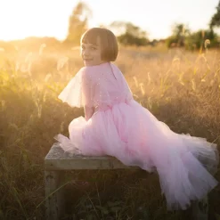 Elegant In Pink Dress 5-6 Years