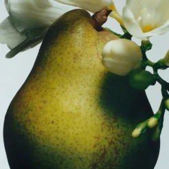 English Pear and Freesia Diffuser Refill
