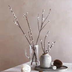 Entrée Jug 1.5L
