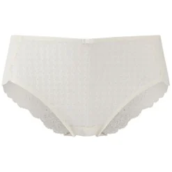 Envy Brief