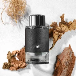Explorer EDP