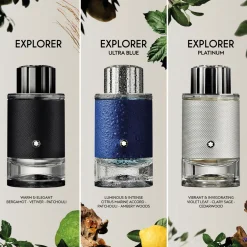 Explorer EDP