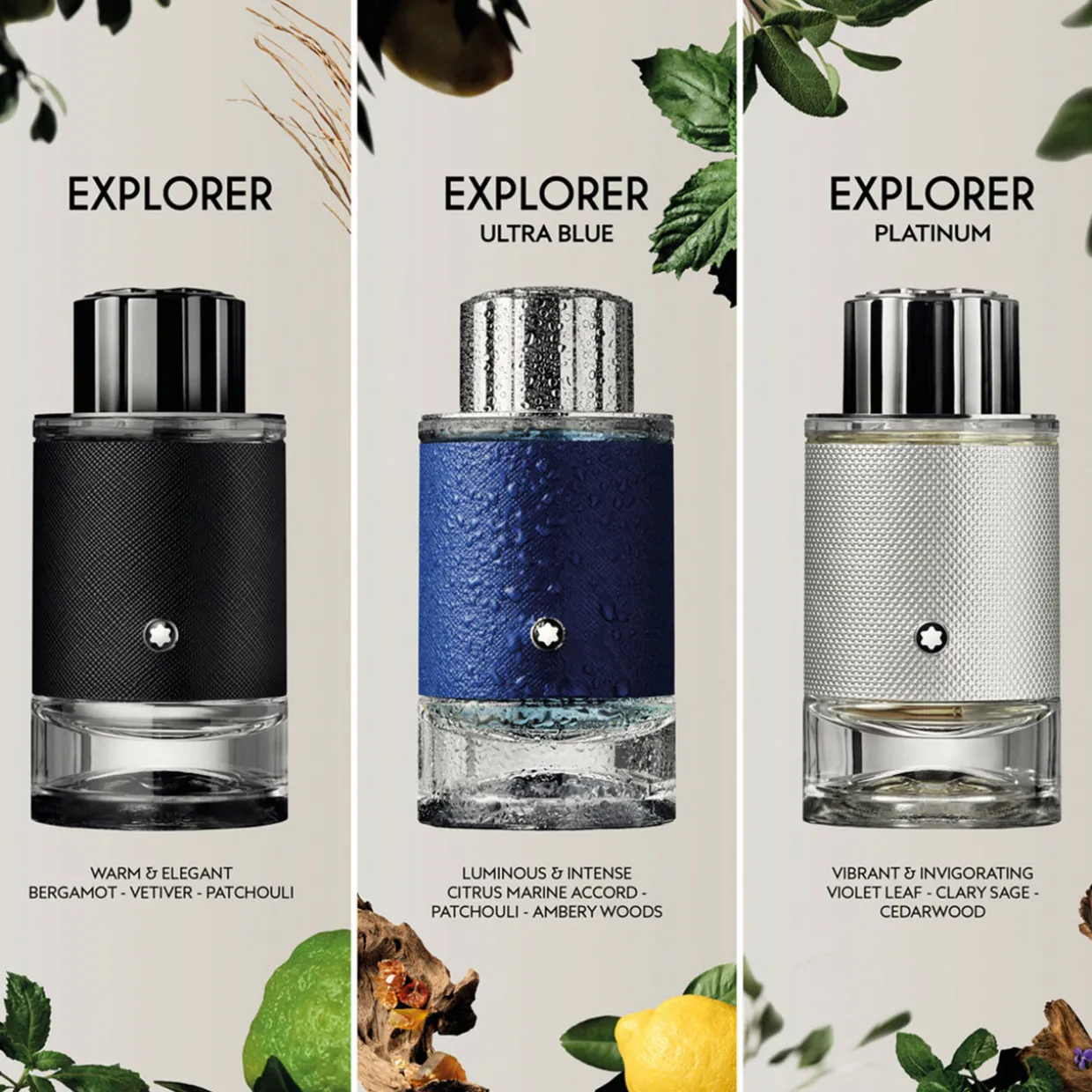 Explorer EDP