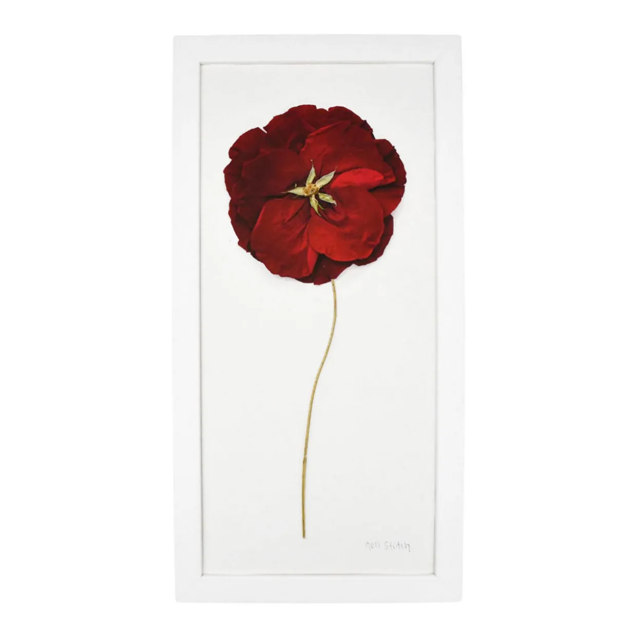 Forever & Always Framed Fine Art Print