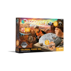 Fossil Dig Set