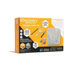 Fossil Dig Set