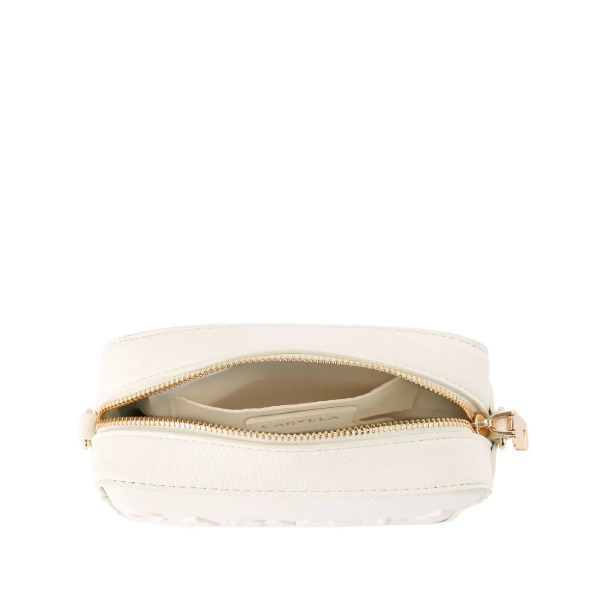 Frame Mini Crossbody Bag