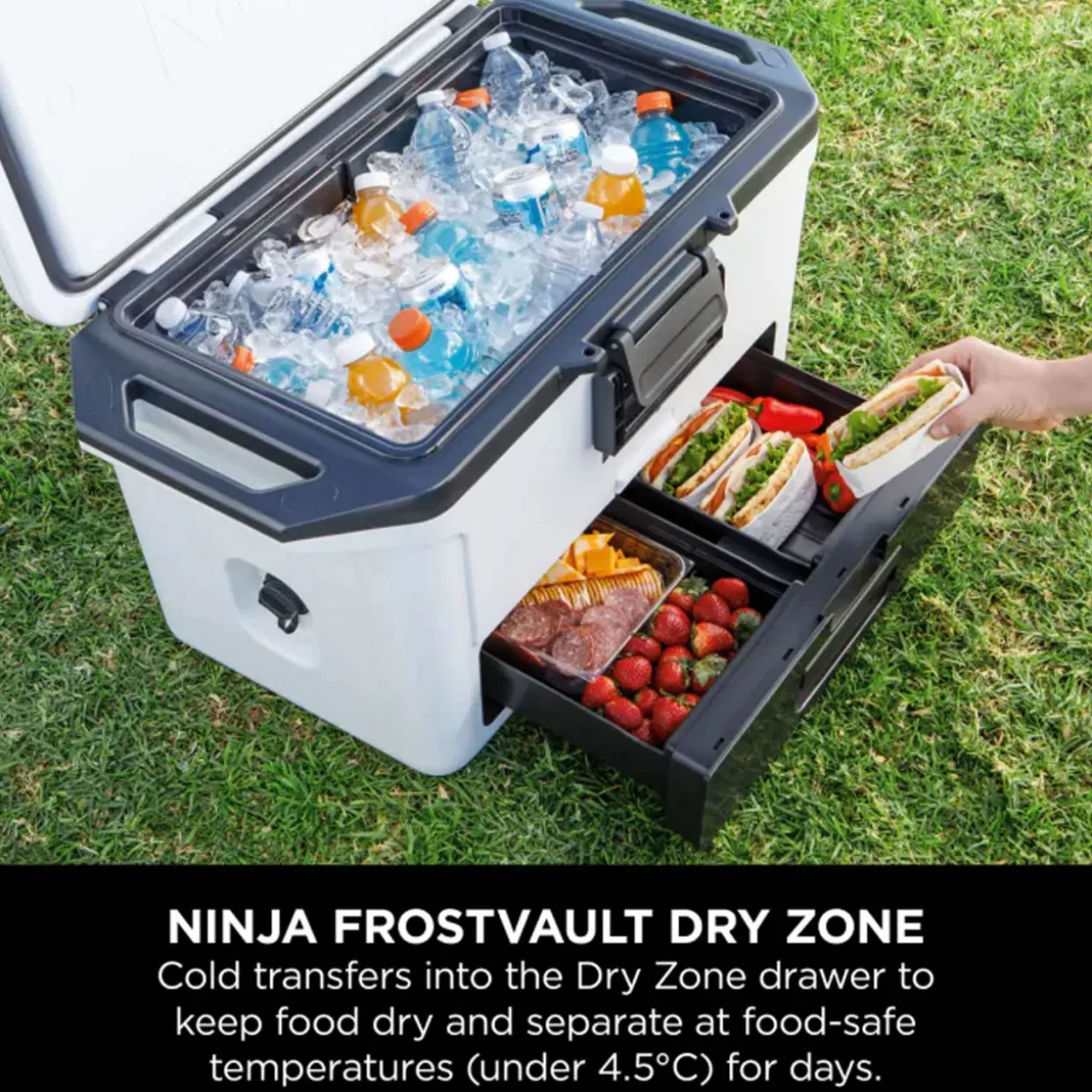 FrostVault 47L Hard Cooler, Cloud White