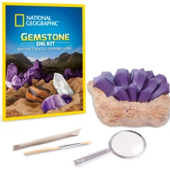 Gemstone Dig Kit