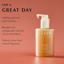 Great Day Hand Wash 300ml