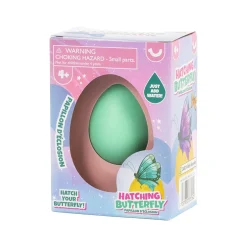 Hatching Butterfly Egg