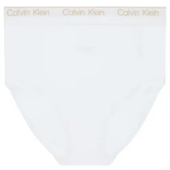 Icon Shapewear High-Rise Briefs