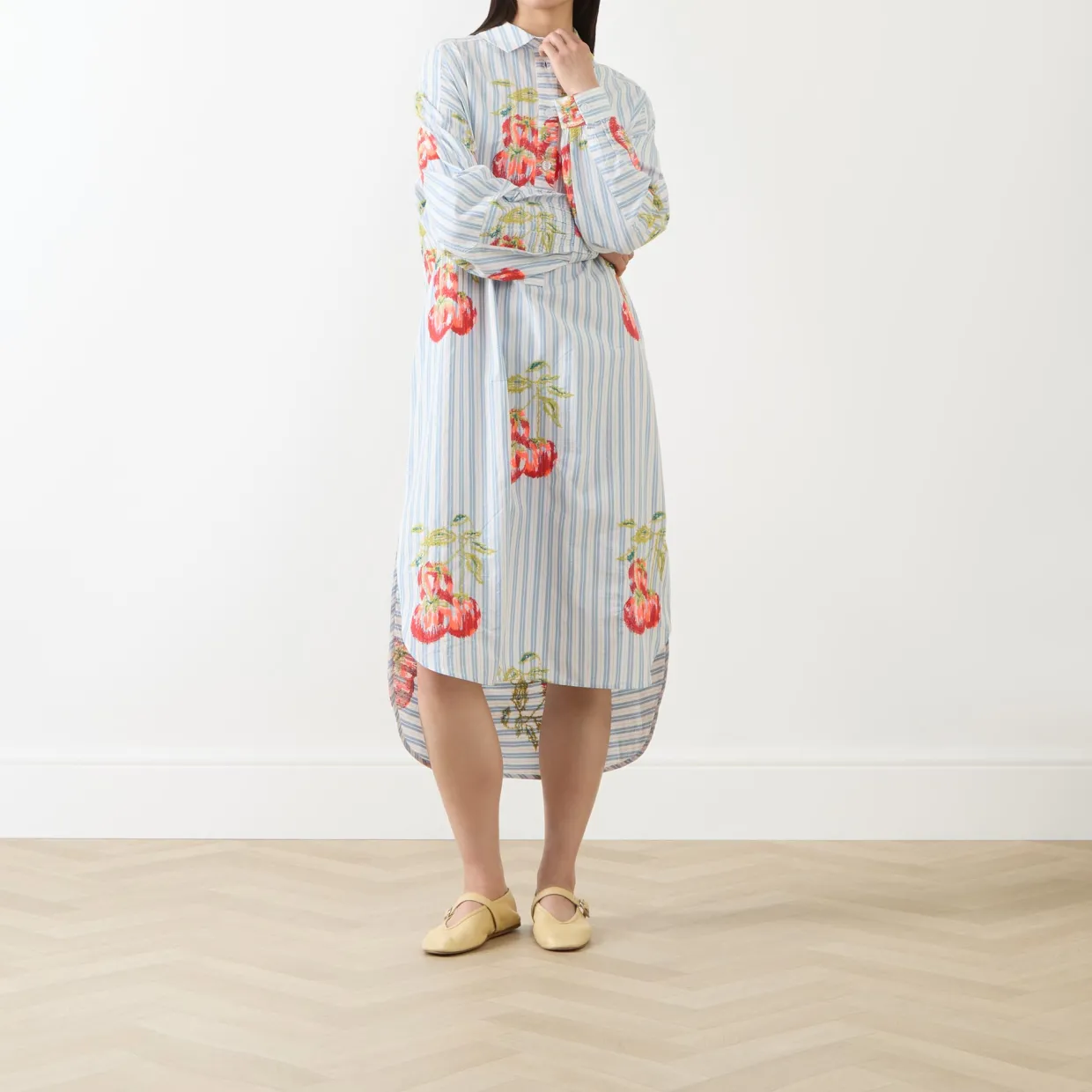 Ihortland Stripe Embroidered Shirt Dress
