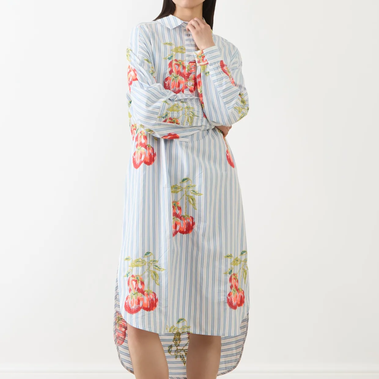 Ihortland Stripe Embroidered Shirt Dress