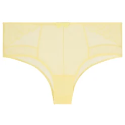 Intuition Embroidered Shorty Briefs