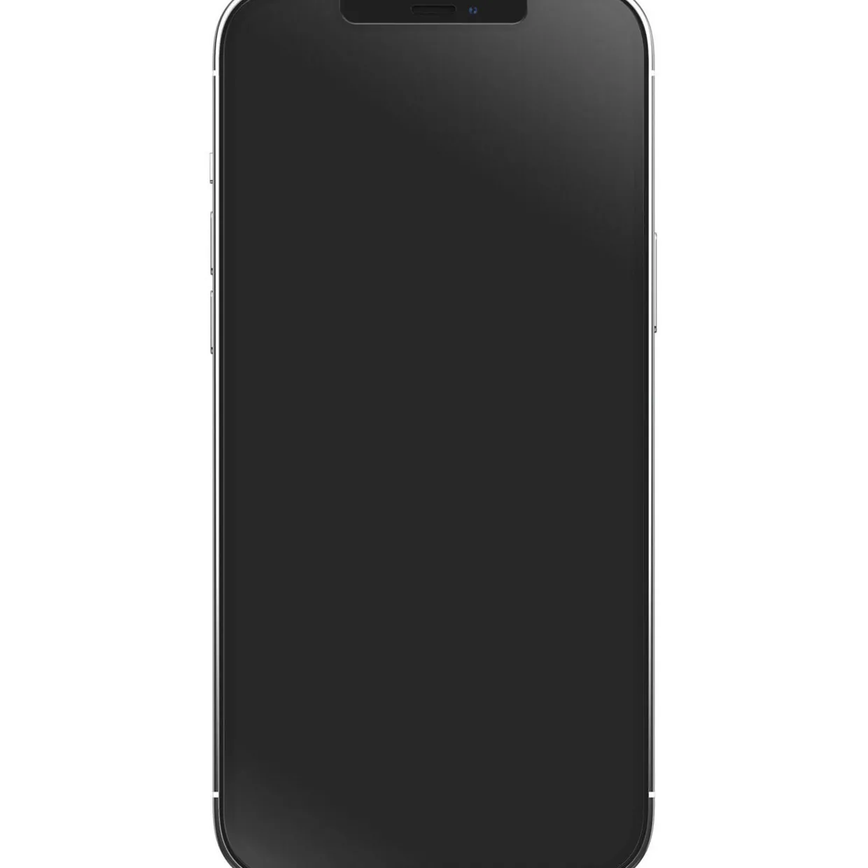 iPhone 12 Pro Max Screen Protector