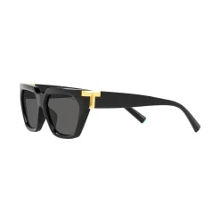 Irregular Sunglasses TF4205U