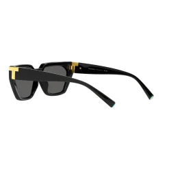 Irregular Sunglasses TF4205U