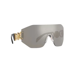 Irregular Sunglasses VE2258