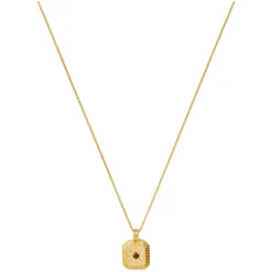 January Birthstone Necklace