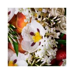 Jasmine & Sun Rose Exquisite Bathing Oil