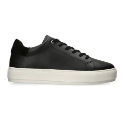 Laney2 Low-Top Trainers