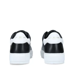 Laney Trainers