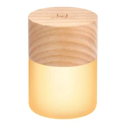 Lemelia Mini Light