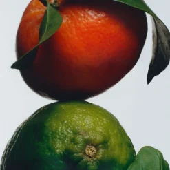 Lime Basil & Mandarin Classic Candle