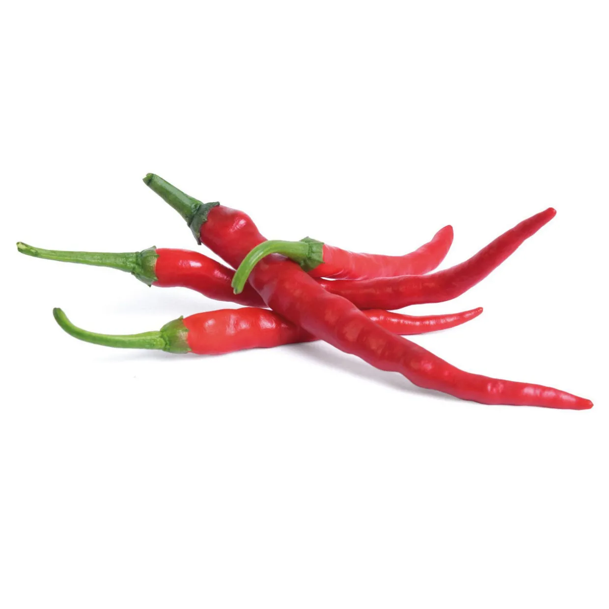 Lingot Cayenne Hot Chilli Seeds