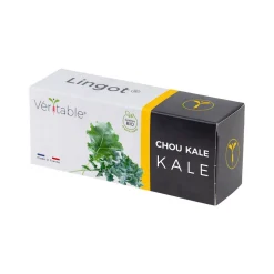 Lingot Kale Organic Seeds