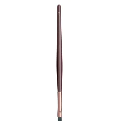 Lip Brush
