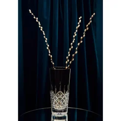 Lismore Black Vase 12in