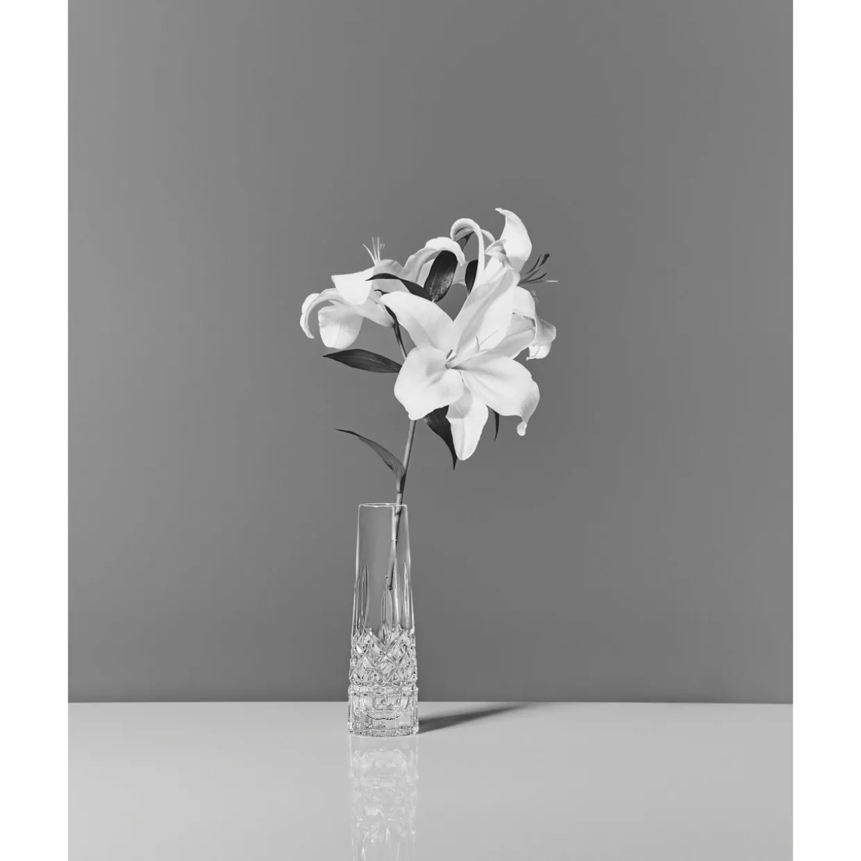 Lismore Bud Vase 18cm 7in