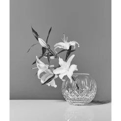 Lismore Rose Bowl 20cm 8in