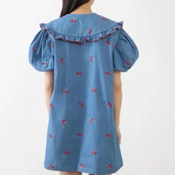Lola  Denim Mini Dress