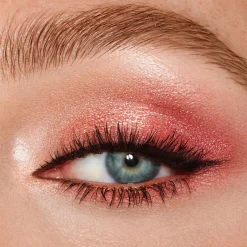 Luxury Palette Walk of No Shame