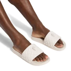 Meena Eagle Slides