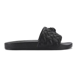 Meena Eagle Slides