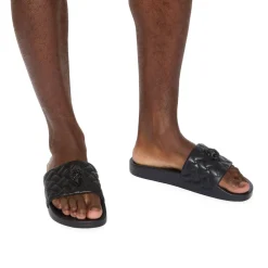 Meena Eagle Slides