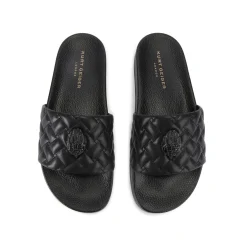 Meena Eagle Slides