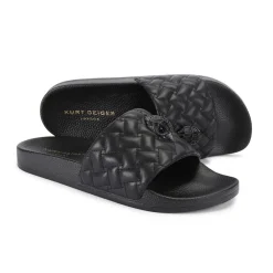 Meena Eagle Slides