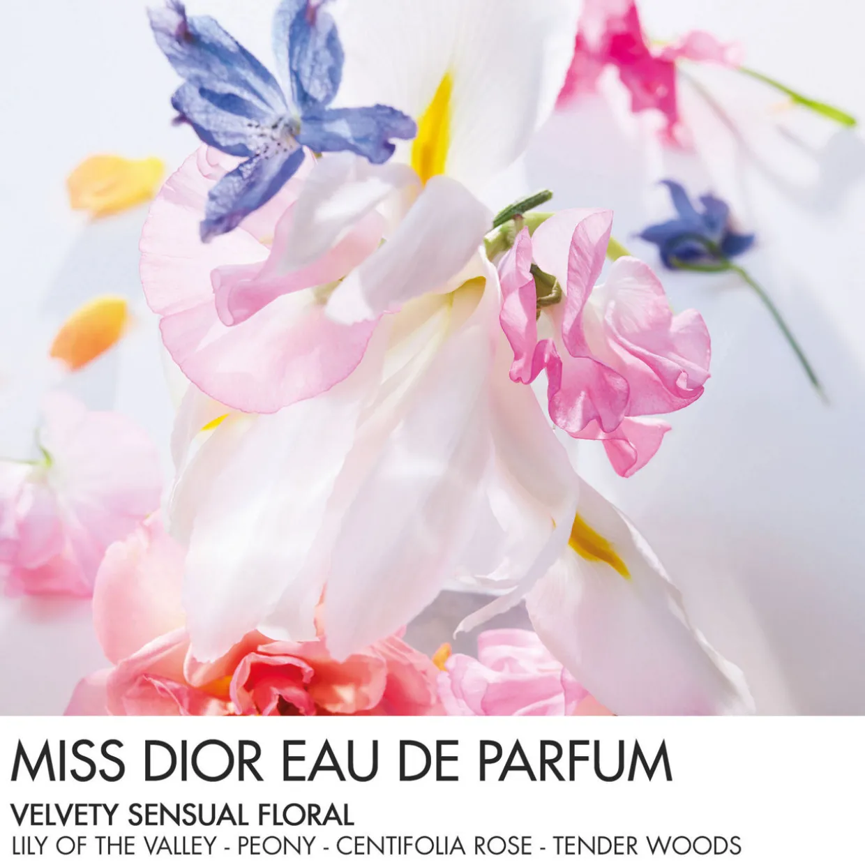 Miss Dior Eau de Parfum Mini Miss Solid Perfume