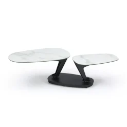 Modi Movement Coffee Table