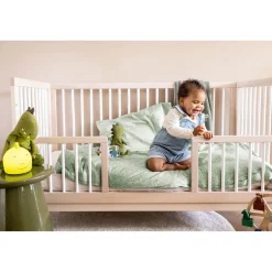 Mr. Dino Night Light