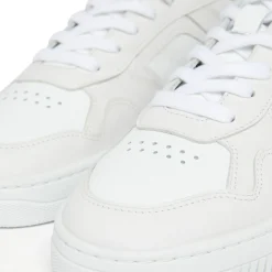 Newton Leather Trainers
