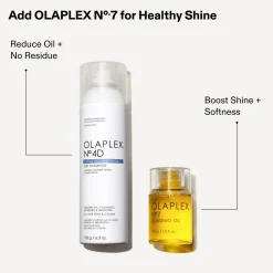 No.4D Clean Volume Detox Dry Shampoo